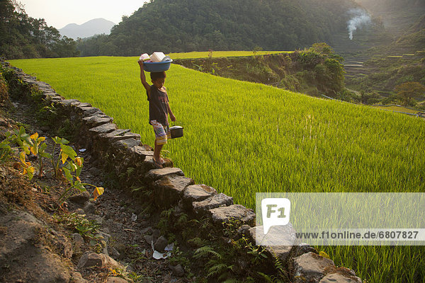 A Child Carries Goods On His Head In The Rice Terraces  Bangaan Northern Luzon Philippines