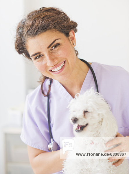 Portrait  Hund  Tierarzt