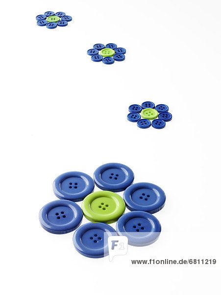 Blume grün arrangieren blau schießen Studioaufnahme