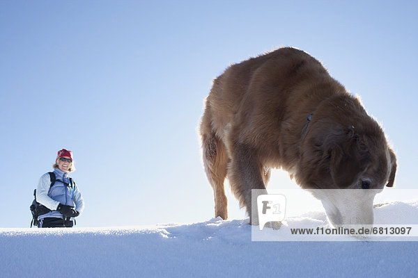 Landschaftlich schön  landschaftlich reizvoll  Frau  Winter  Hund  wandern