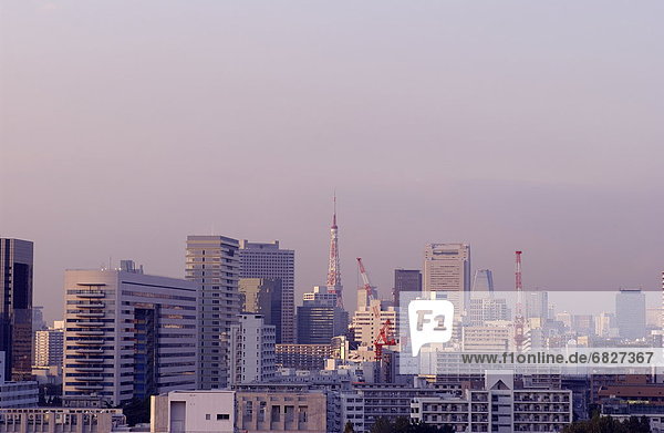Down Town Tokyo Under Sunset