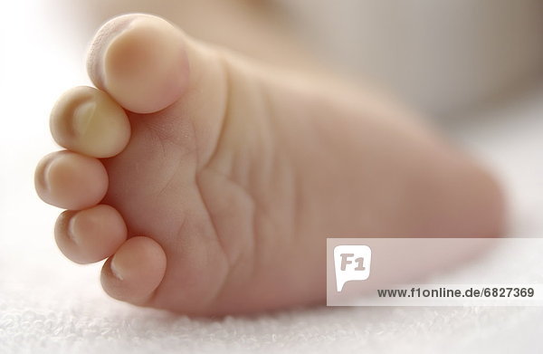 Close Up Image of Baby's Foot