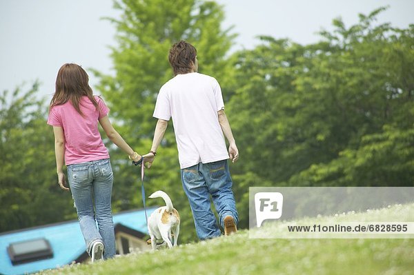 Couple walking their dog in a park