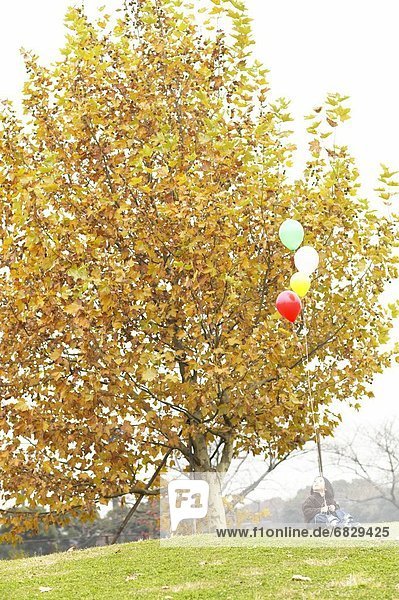 sitzend  Baum  Luftballon  Ballon  Bündel  unterhalb  Herbst  jung  Mädchen