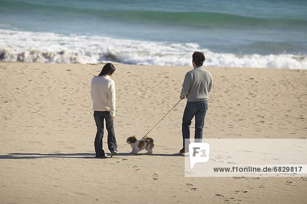 Couple with dog walking on beach