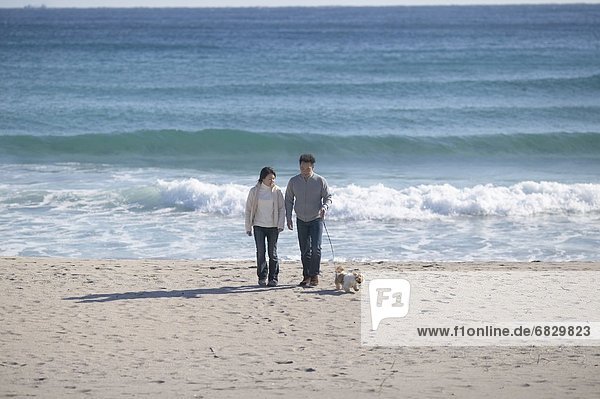 Couple with dog walking on beach