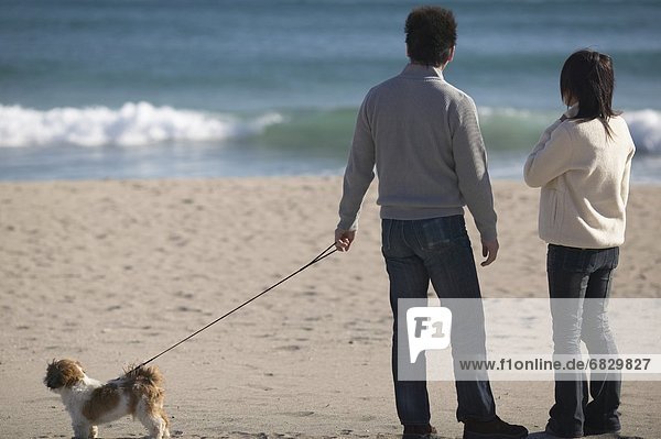 Couple with dog standing on beach