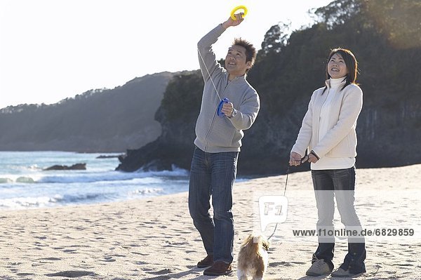 A couple playing kite-flying with their dog