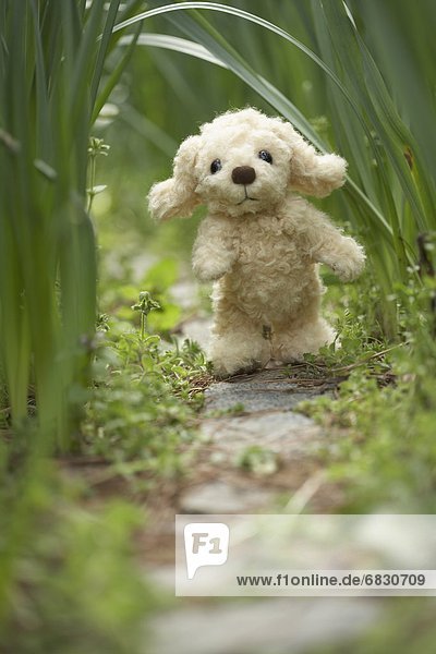 Stuffed toy dog walking on footpath