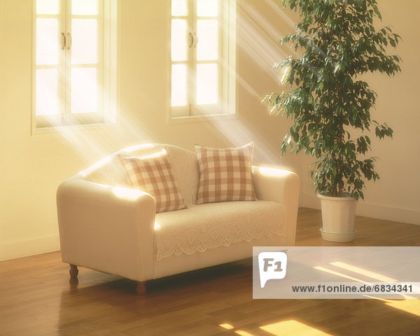 Sofa and potted plant in living room  computer graphic