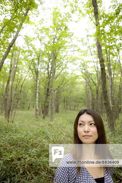 Young woman standing in forest  looking away  Nikko city  Tochigi prefecture  Japan