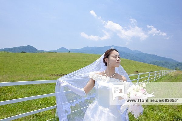 Bride in Green Field