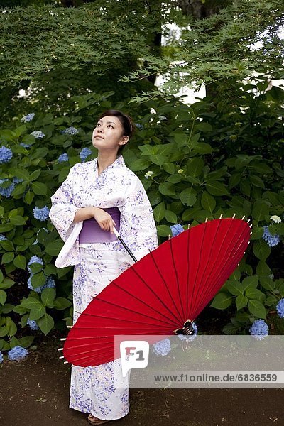 Woman in yukata with paper umbrella  Ibaraki Prefecture  Honshu  Japan
