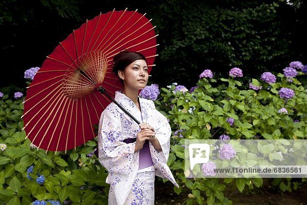 Woman in yukata with paper umbrella  Ibaraki Prefecture  Honshu  Japan