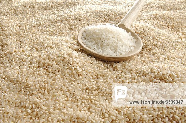 schöpfen Reis Reiskorn Holzlöffel flach braun