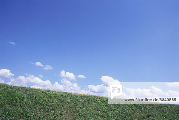 Field below blue sky and clouds  Chino  Nagano Prefecture  Japan