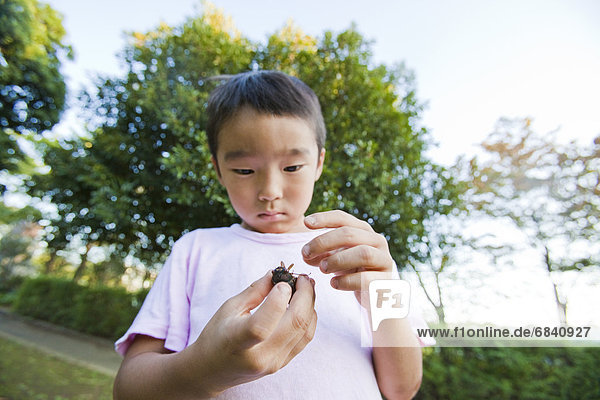 Boy holding a cicada  Japan