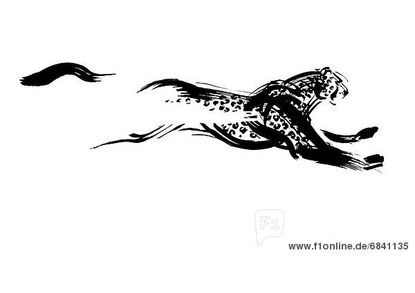 Running Leopard  Black Ink Illustration
