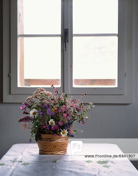 Fenster  Wildblume  Tisch