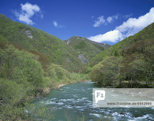 Oirase river  Aomori Prefecture  Honshu  Japan
