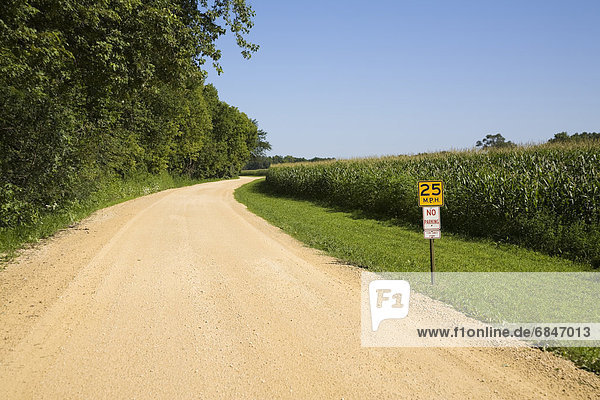 Corn field and dirt road  Iowa  USA