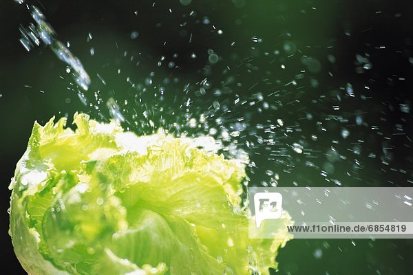 Droplets of Water Bouncing off a Fresh Lettuce