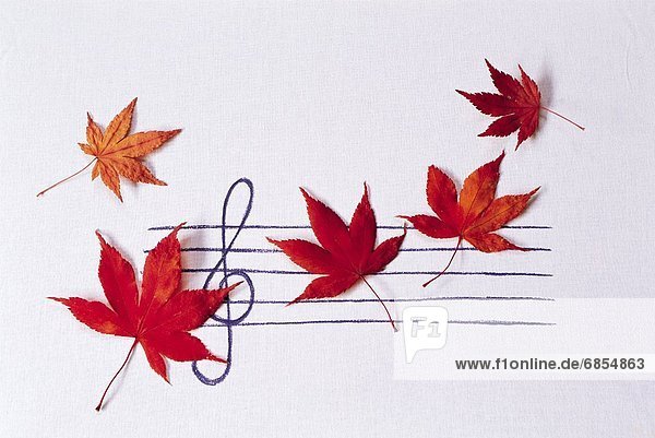 Autumn Leaves on a Drawn Sheet Music