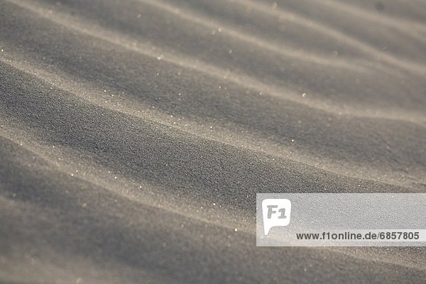 Fotografie  Sand  gewellt  voll  Japan  Shizuoka Präfektur