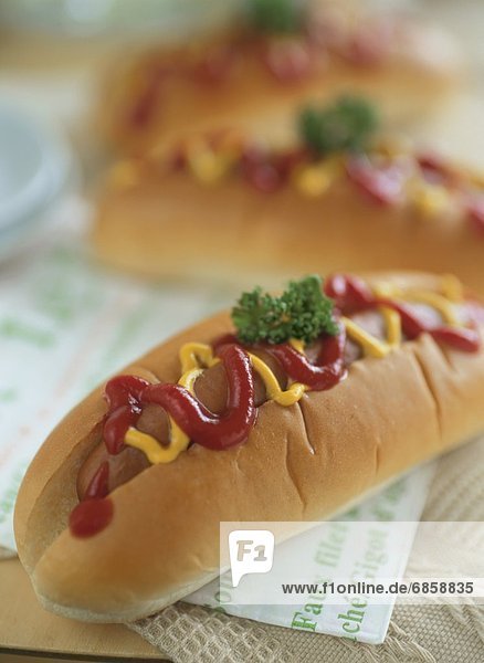 Hot Dog Hot Dogs