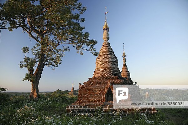 Produktion  Geschichte  Ziegelstein  Ruine  Myanmar