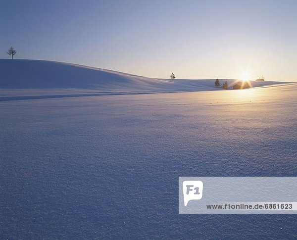 leer Wohnhaus Sonnenaufgang Schnee Feld Biei Hokkaido Hokkaido Japan