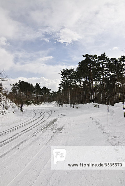 Rural Road in Winter