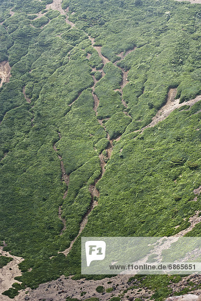 Berg  Wald  Ansicht  Luftbild  Fernsehantenne