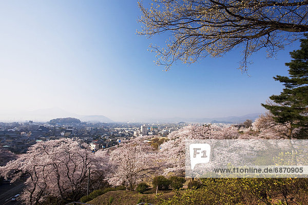 Stadtansicht  Stadtansichten  Großstadt  Kirsche  blühen  Japan