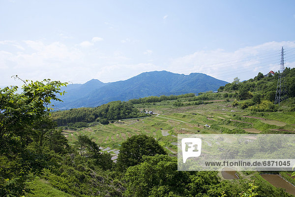 Rice Terrace at Inagura  Nagano Prefecture  Honshu  Japan