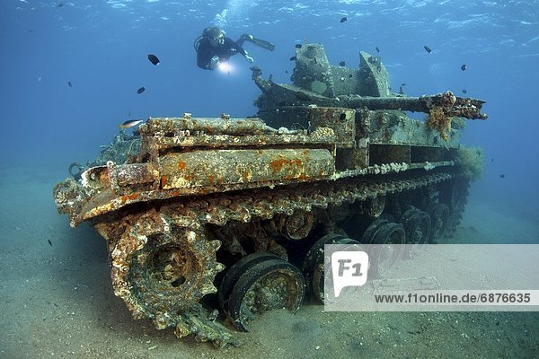 Taucher am Wrack eines Panzers  Rotes Meer bei Akaba  Jordanien  Unterwasseraufnahme