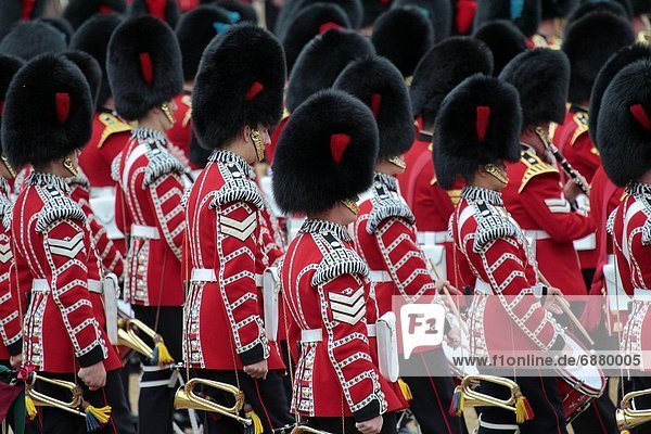Farbe  Farben  Europa  Großbritannien  London  Hauptstadt  Soldat  Horse Guards Parade  England  Whitehall