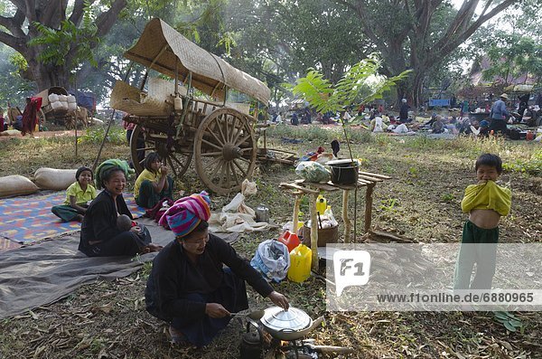 Bulle  Stier  Stiere  Bullen  kochen  Frau  Menschlicher Vater  Fuhrwerk  Ethnisches Erscheinungsbild  Myanmar  Asien  Shan Staat