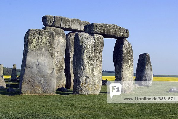 zwischen  inmitten  mitten  stehend  Europa  Stein  flirten  Großbritannien  Kreis  UNESCO-Welterbe  England  prähistorisch  Stonehenge  Wiltshire