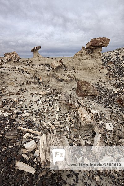 Petrified wood in the badlands on a cloudy day San Juan Basin New Mexico United States of America North America