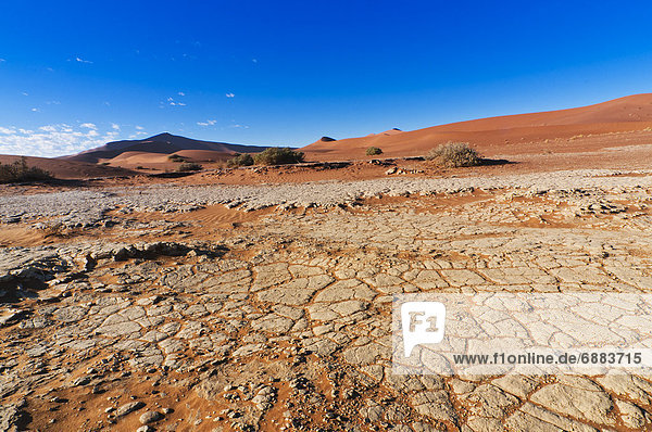 Namibia  Namib  Namib Naukluft Nationalpark  Afrika  Sossusvlei