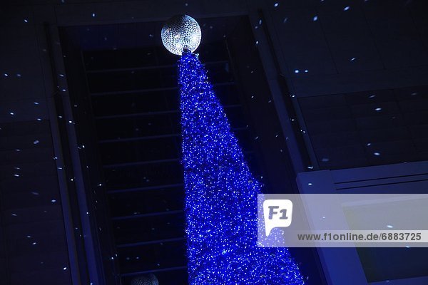Weihnachtsbaum Tannenbaum blau