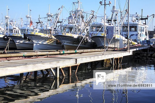 Fischereihafen  Fischerhafen  Boot  angeln