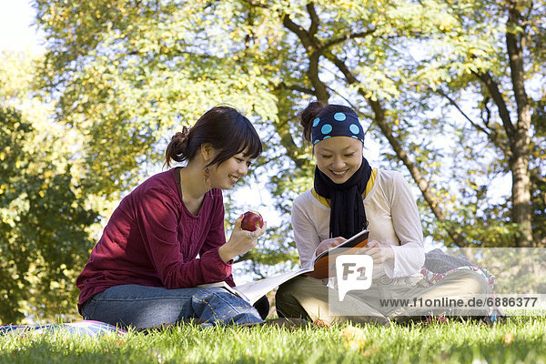 Two Young Women Studying in Park
