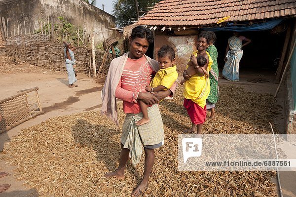 Außenaufnahme stehend Wohnhaus Menschlicher Vater Sohn trocknen halten Nutzpflanze jung Asien Indien Orissa Volksstamm Stamm