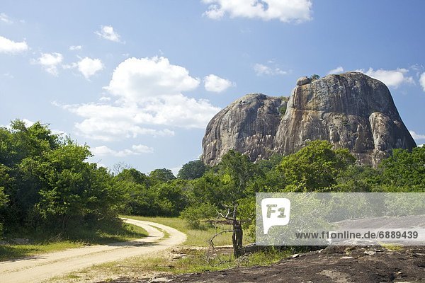 Elephant Rock from forest track  Yala National Park  Sri Lanka  Asia