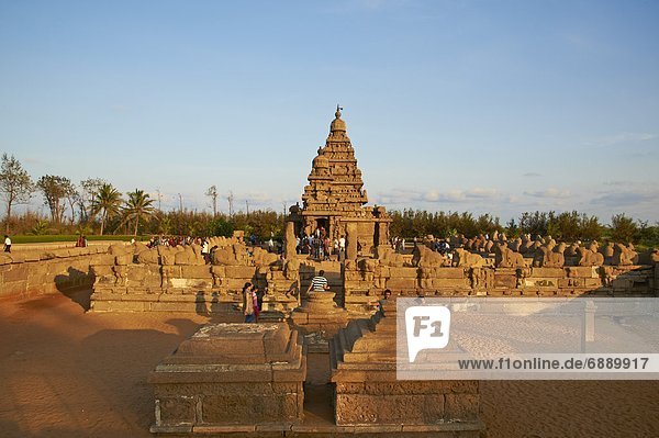 The Shore Temple  Mamallapuram (Mahabalipuram)  UNESCO World Heritage Site  Tamil Nadu  India  Asia