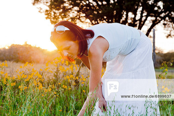 Frau pflückt Blumen auf dem Feld im Sonnenlicht