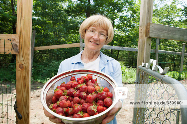 Frau hält Sieb mit Erdbeeren