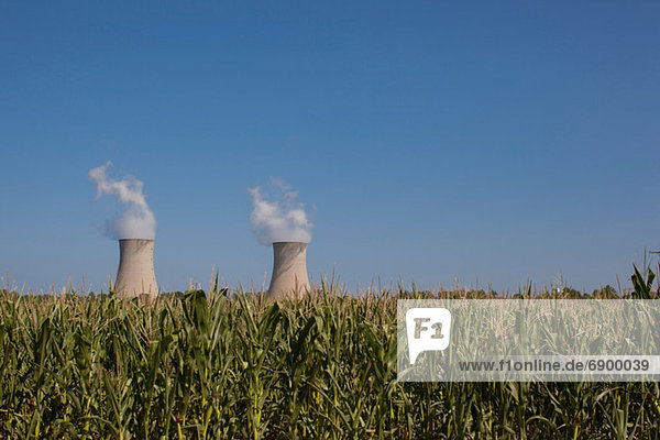 Fermi 2'' hinter einem Maisfeld  Enrico Fermi Nuclear Generating Station  Monroe  Michigan  USA''.